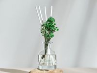 Диффузор Bamboo 100 мл