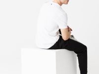 Мужская футболка Lacoste Regular Fit