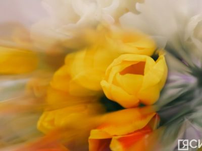 Бывшие, смартфоны и скупость: главные ошибки на первом свидании, по мнению россиян