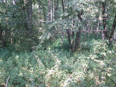 Мельница водоналивная, деревянная