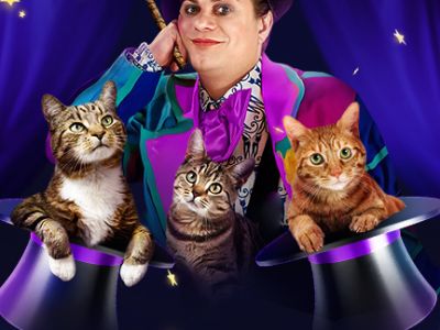 Волшебные кошки Куклачёва