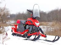 Снегоход IRBIS Dingo T150