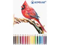 Набор стираемых цветных карандашей Acmeliae 24 цв в картонном футляре