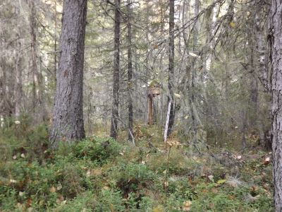 Святилище Нёр-ойки и Чохрынь-ойки на оз. Турват