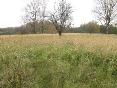 Памятное место, где в 1941-1943 гг. действовал партизанский отряд «Родина». Командир Т.П. Гусаров, комиссар А.В. Казаков