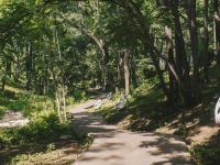 Парк «Динамо»