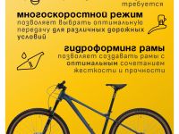 Горный велосипед Welt Rambler 29, год 2024, цвет Синий, ростовка 16