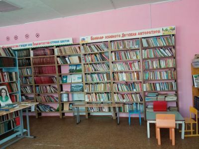 Раевская библиотека