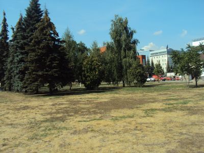 Дом жилой