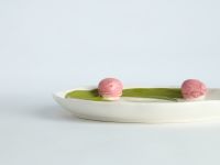 Тарелка Тюльпаны/Tulipani in Fiore I