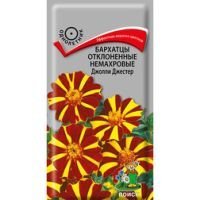 Бархатцы отклоненные немахровые Джолли Джестер