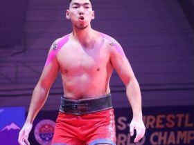 Итоги VI Чемпионата мира по мас-рестлингу среди мужчин и женщин