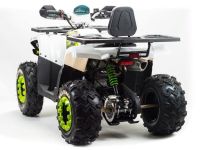 Квадроцикл MOTOLAND ATV 200 Wild Track