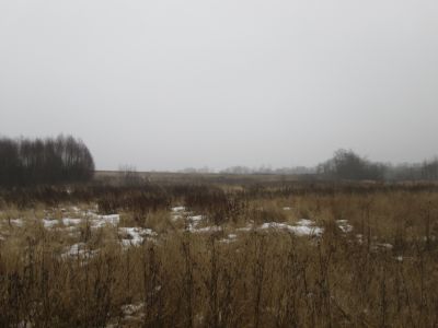 Памятное место, где в 1941 г. батальон Героя Советского Союза Н.М. Чапурного сражался с немецко-фашистскими захватчиками