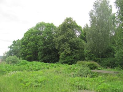 Усадьба А.А. Сухарева