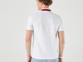 Мужское поло Lacoste стандартного кроя