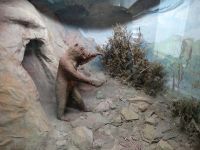 Музейно-выставочный центр им. М. М. Чумакова