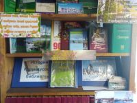 Курундусская сельская библиотека