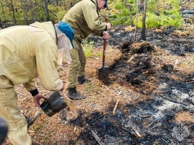 В Якутии за сутки ликвидировали четыре лесных пожара