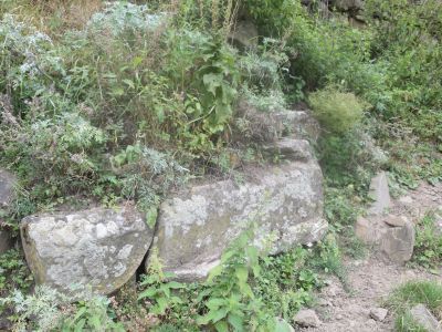 Средневековый пир