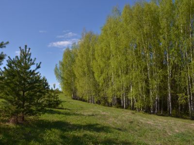 Священная роща