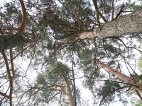 Музей литературных героев «Повестей Белкина»