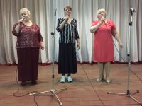 Лопатинский сельский дом культуры