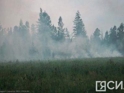 За сутки в Якутии обнаружено 29 лесных пожаров