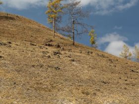 К древним вулканам Туймаады. Молотовская Падь, наскальные рисунки Туймаады