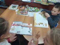 Беличанская библиотека