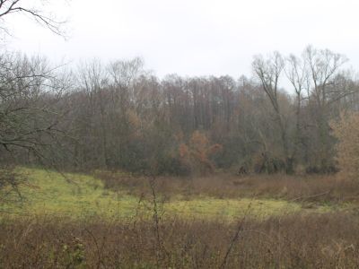 Пруд, конец XIX в.