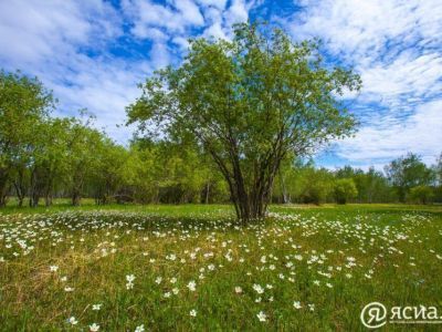 Следующие длинные выходные ожидают россиян в июне