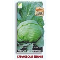Капуста белокочанная Харьковская зимняя