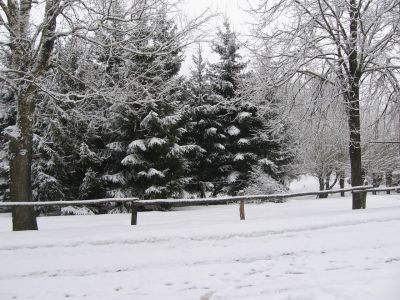 Памятное место, где жил и проводил революционную работу В.С. Сиродов – участник октябрьского вооруженного восстания в Петрограде