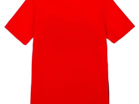 Фуфайка трикотажная для мальчиков (футболка)