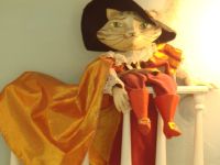 Вологодский областной театр кукол «Теремок»