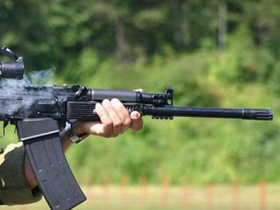Сотрудникам Росприроднадзора будут выдавать огнестрельное оружие