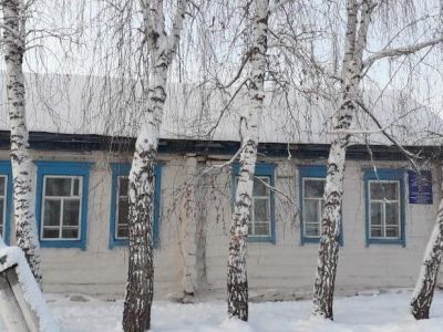 Елань-Чишминская сельская библиотека