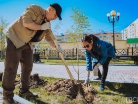 Коллектив Центра СПИД посадил деревья в мемориальном комплексе Якутска