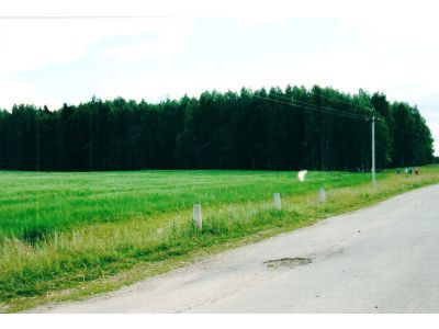 Священная роща