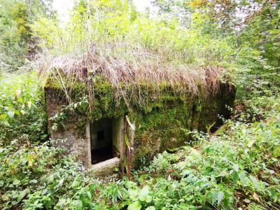 Карельский укрепленный район. Путкеловский батальонный район обороны. Комплекс фортификационных сооружений в составе: командно-наблюдательный пункт ДОТ № 950, огневая точка ДОТ № 951, огневая точка ДОТ № 975