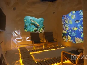 Дмитрий Садовников провел выездной осмотр социальных объектов Якутска