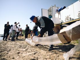 «Полиметалл» выпустил в Лену 40 000 мальков краснокнижного сибирского осетра