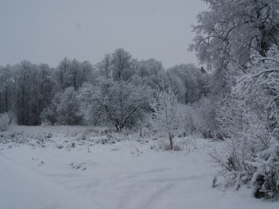 Усадьба Молоди (Бестужева-Рюмина)