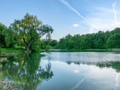 Усадьба Массарий-Акифьева: Парк