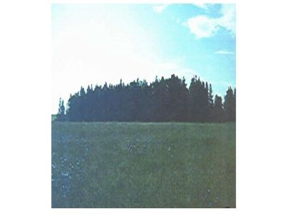 Священная роща