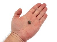 Бусина для темляка Звезда Руси, круглая, бронза