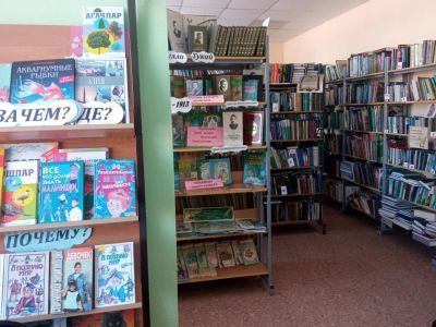 Нижнесуыксинская сельская библиотека