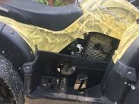 Квадроцикл MOTOLAND 250 Adventure (2021 Г.)