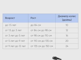 Детский велосипед Forward Dakota 16, год 2022, цвет Серый-Фиолетовый